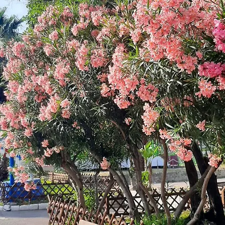 Le Golf Menton